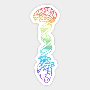 Brain DNA Heart Sticker